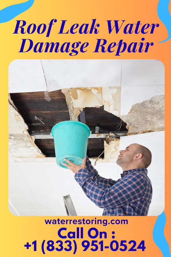 Roof Leak Water Damage Repair in Rio en Medio, NM